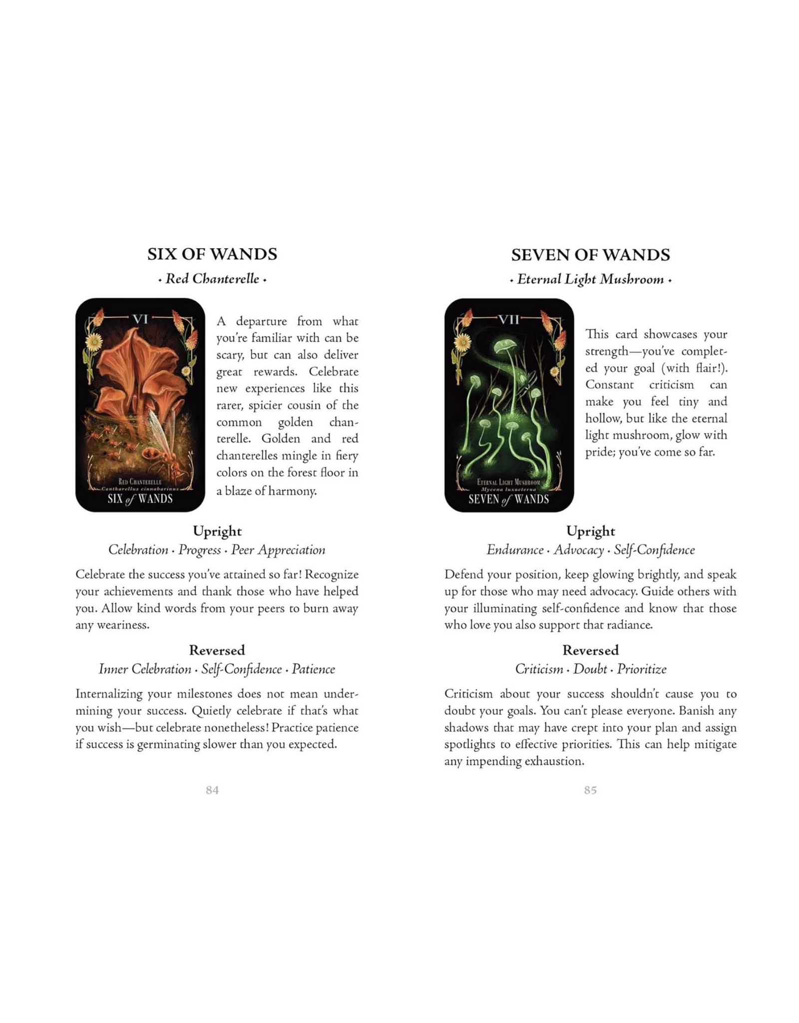 Midnight Magic: A Tarot Deck of Mushrooms