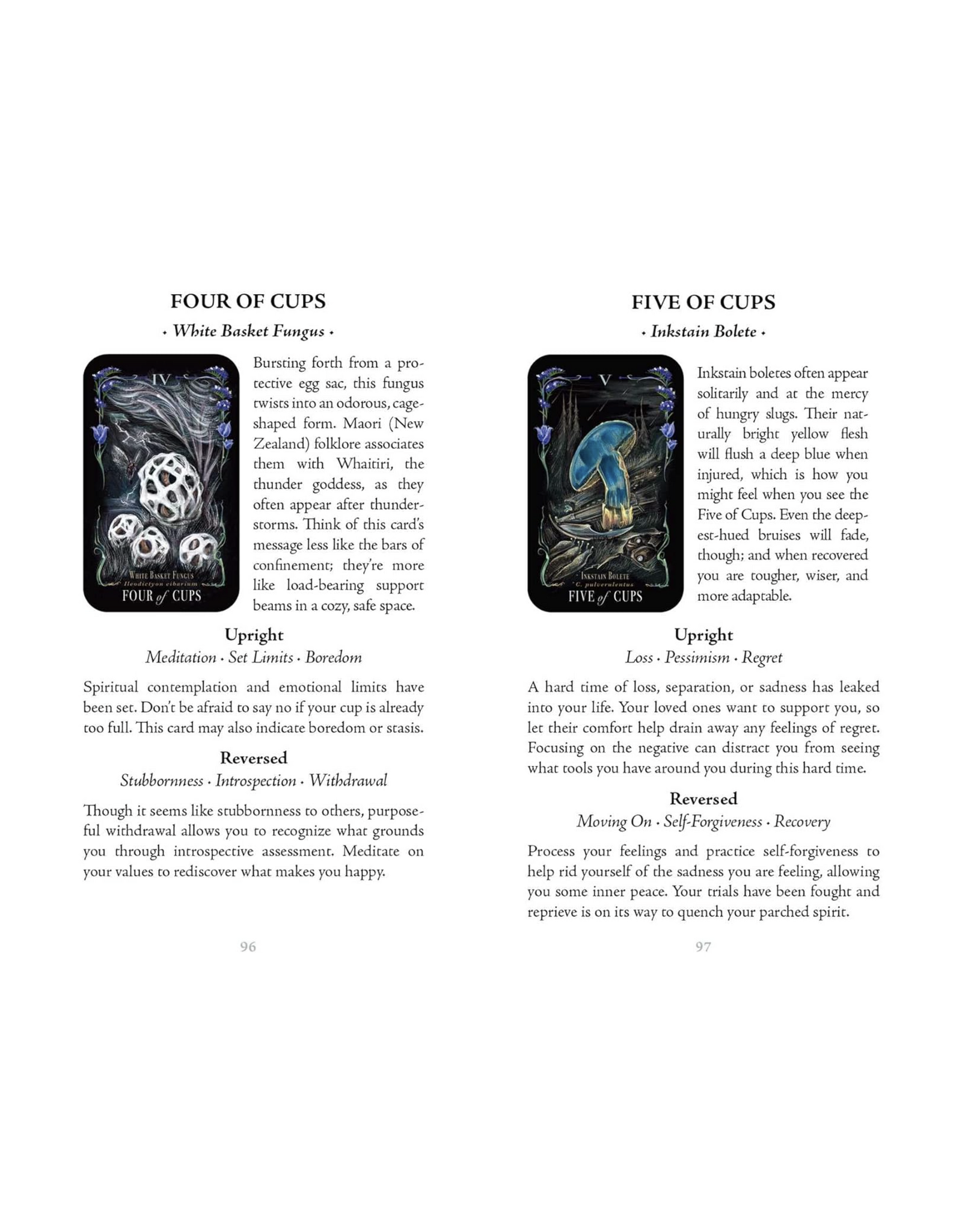 Midnight Magic: A Tarot Deck of Mushrooms