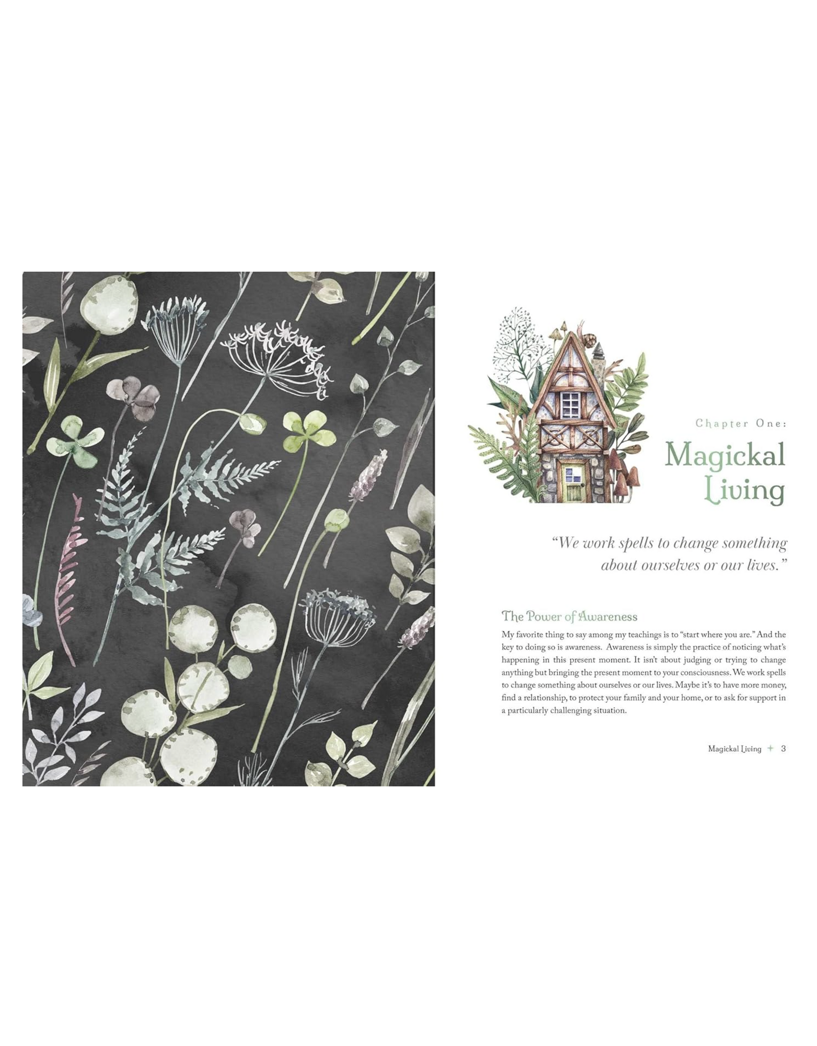 The Witch's Apothecary