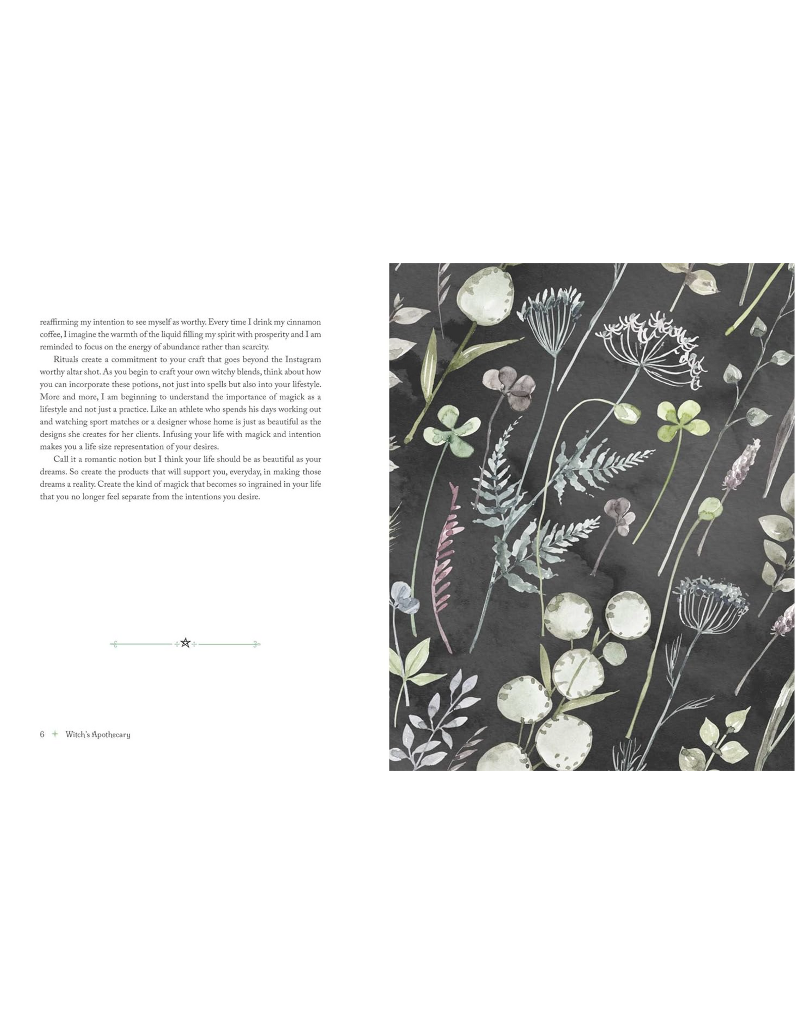 The Witch's Apothecary