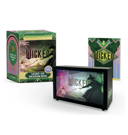 Wicked Light Up Mini Shadow Box