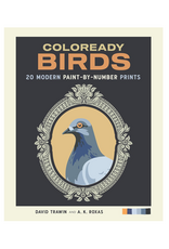 Coloready Birds Paint By Number Prints