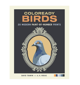 Coloready Birds Paint By Number Prints