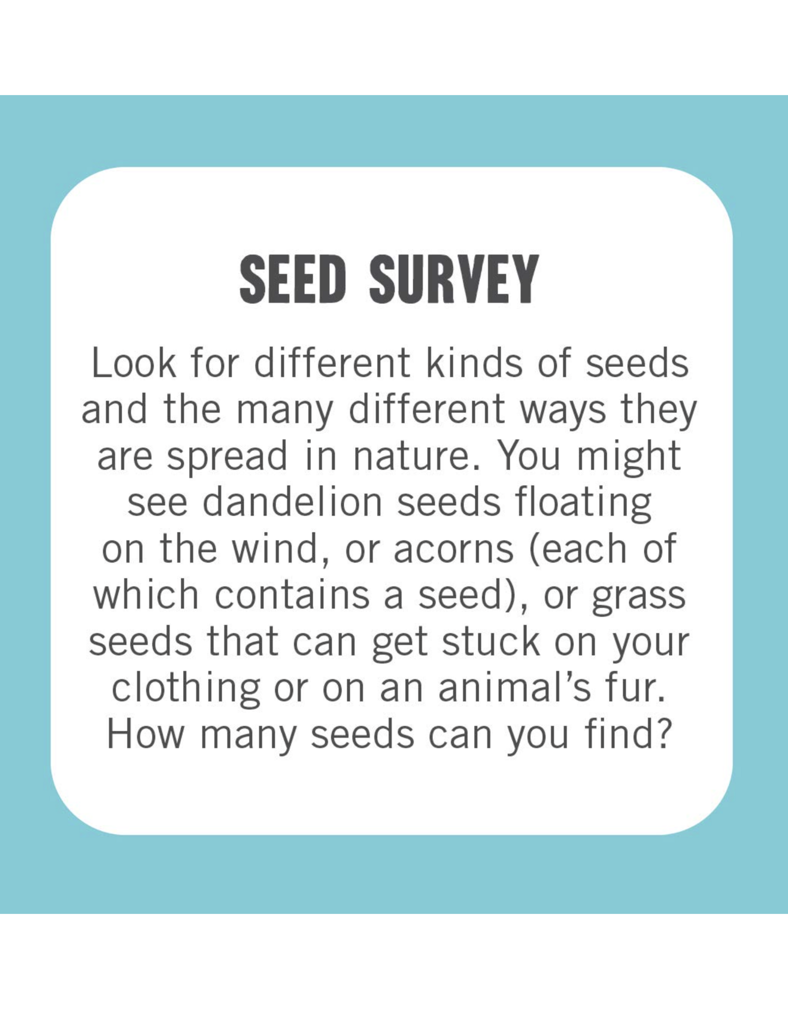 50 Great Things to Do Outside