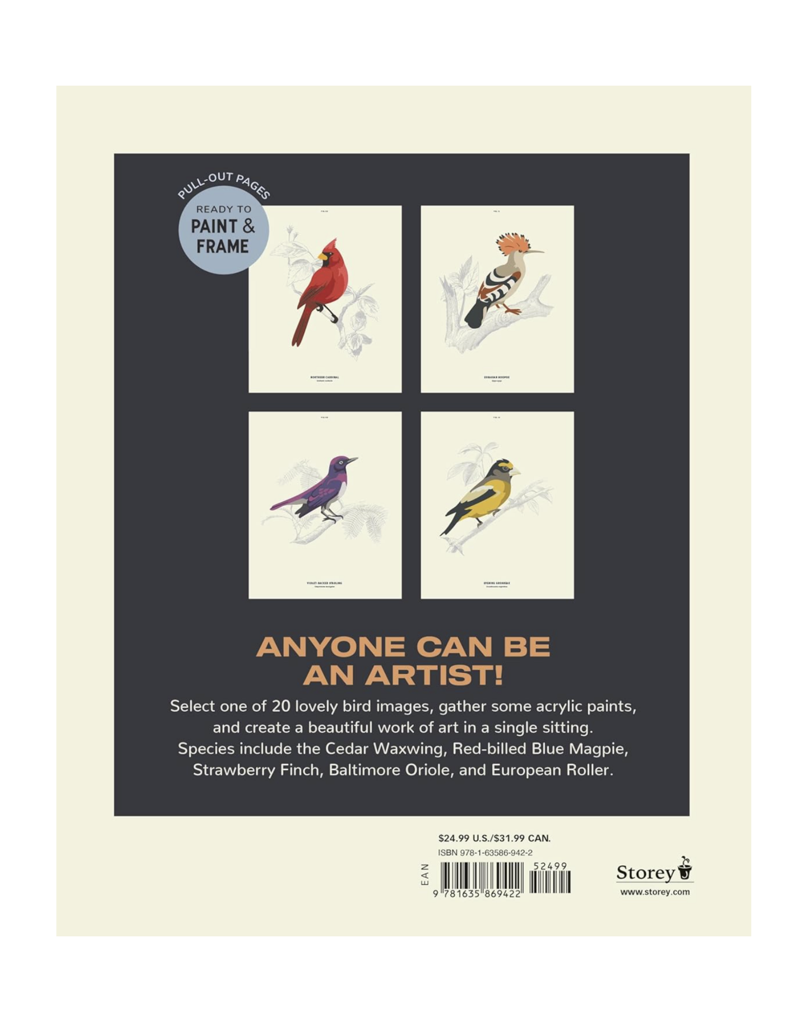 Coloready Birds Paint By Number Prints