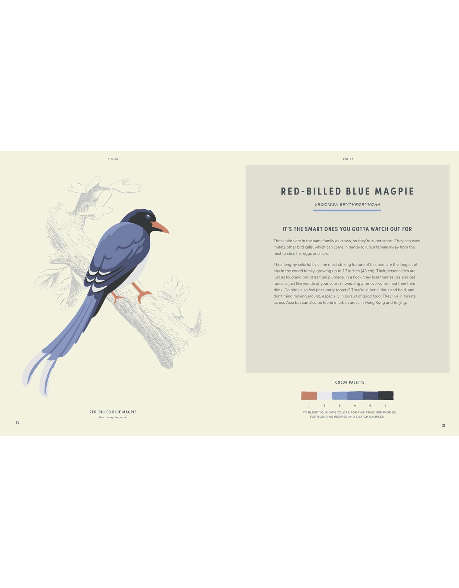 Coloready Birds Paint By Number Prints