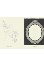 Coloready Birds Paint By Number Prints