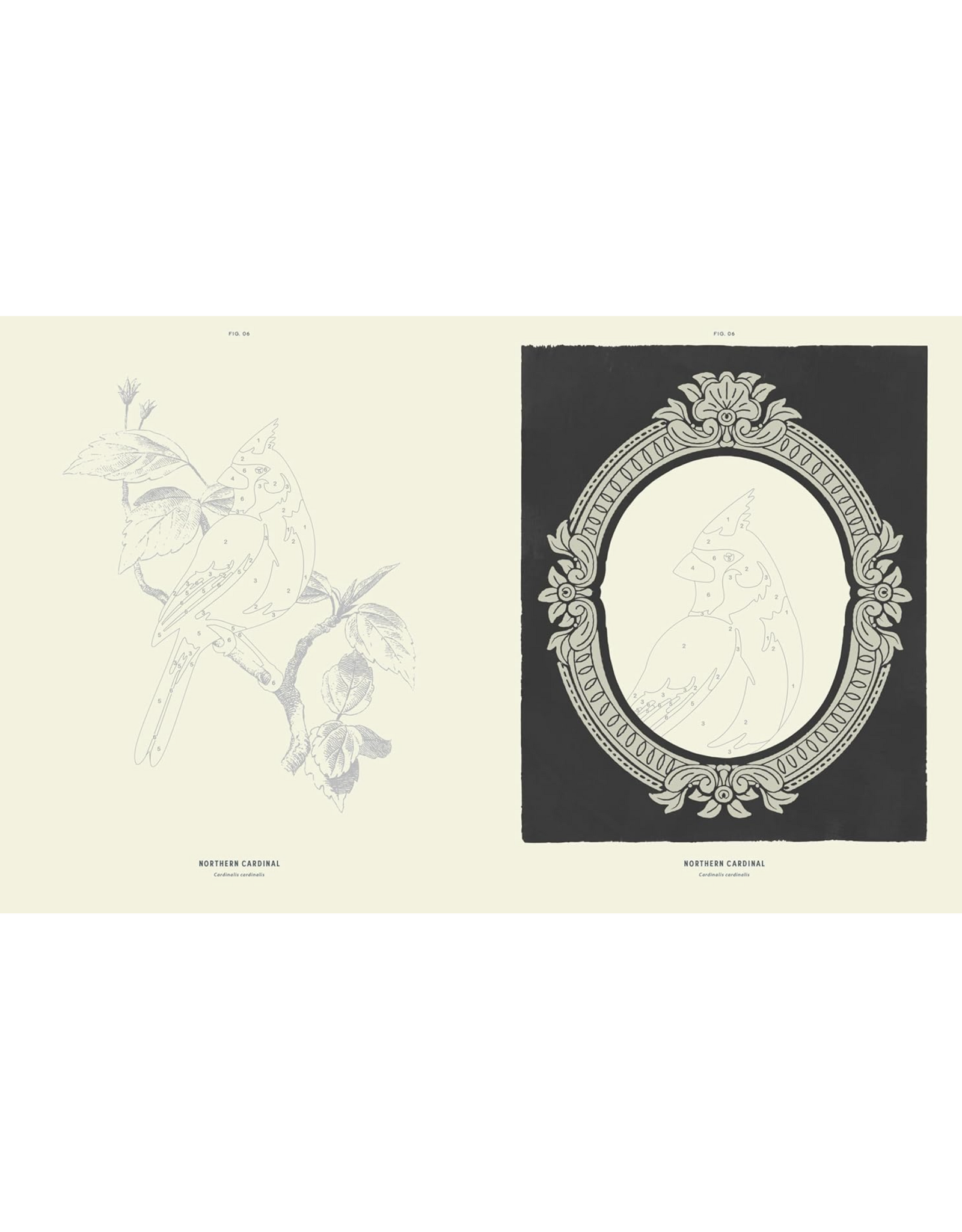 Coloready Birds Paint By Number Prints