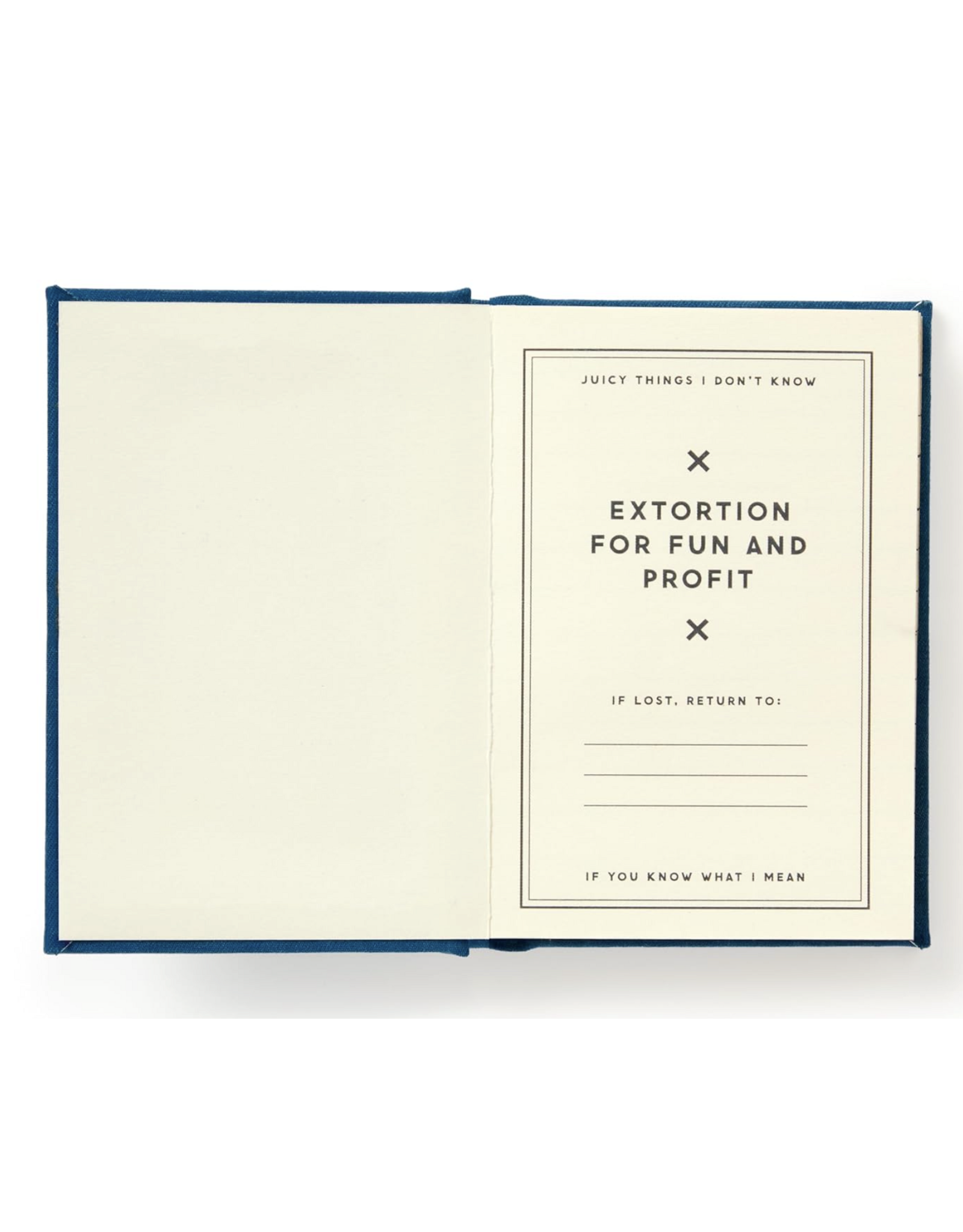 Future Blackmail Diary