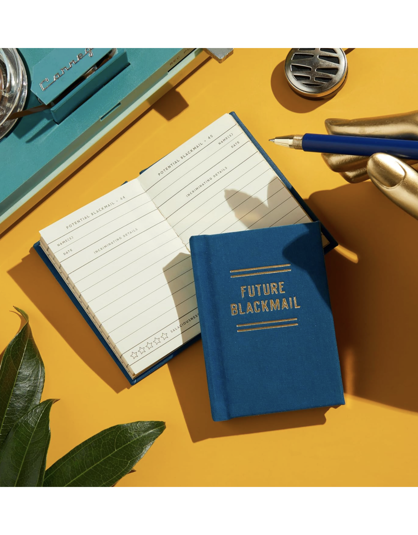 Future Blackmail Diary