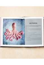 Portugal: Recipes and Ingredients