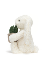 Cream Bunny with Plant