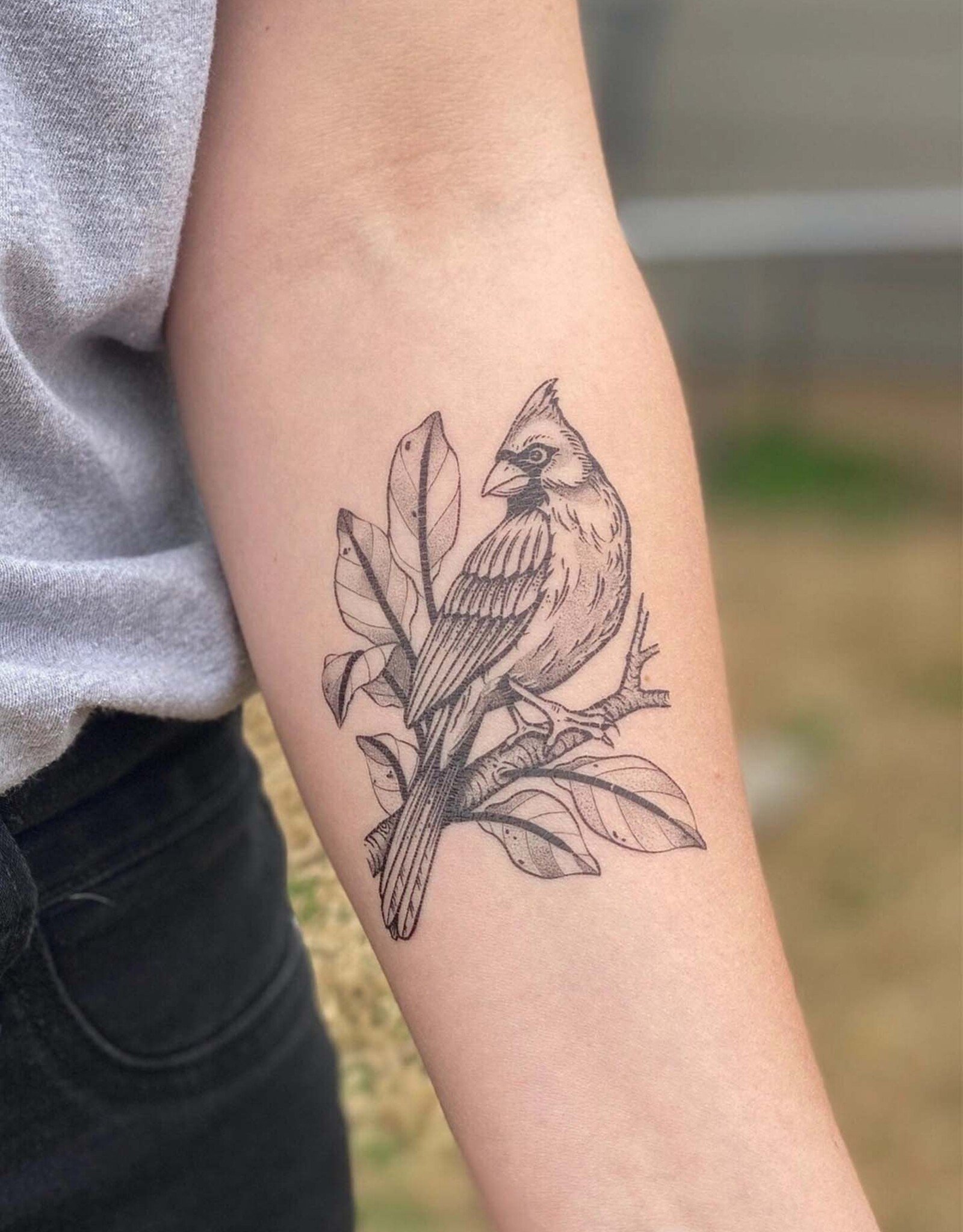 NatureTats Cardinal Temporary Tattoo