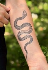 NatureTats Garden Snake Temporary Tattoo