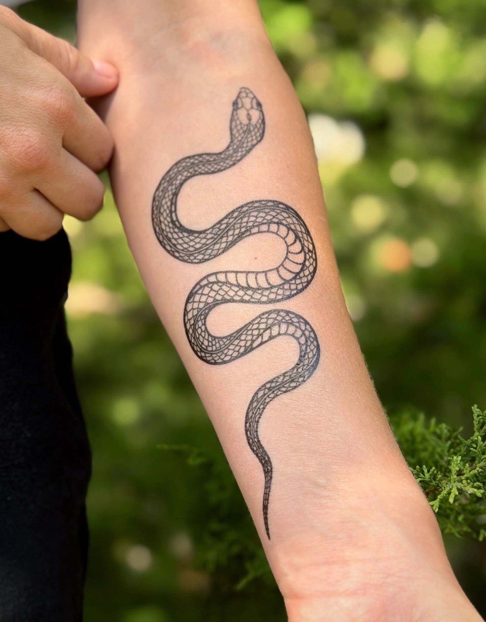 NatureTats Garden Snake Temporary Tattoo