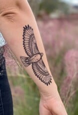 NatureTats Hawk Temporary Tattoo