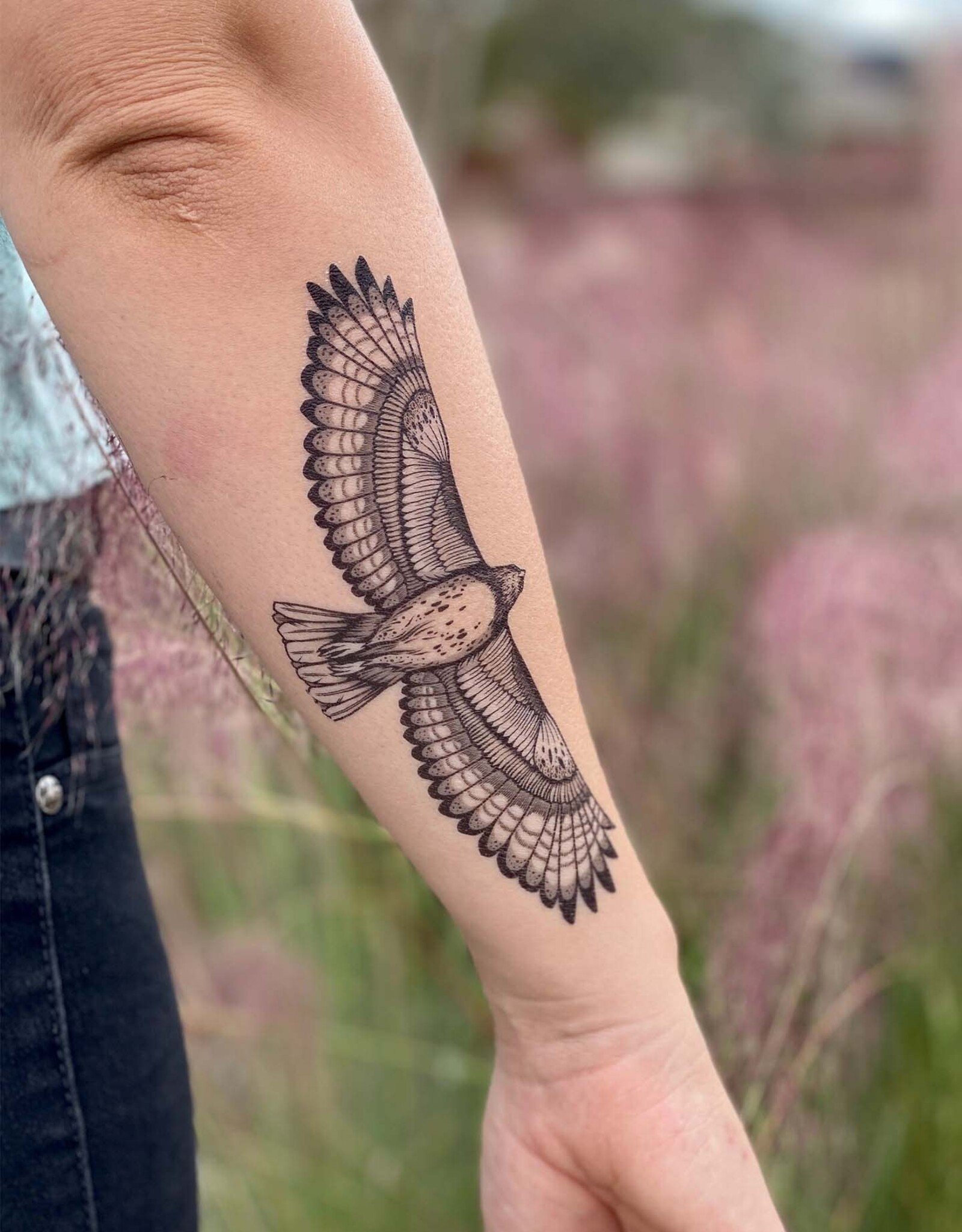 NatureTats Hawk Temporary Tattoo