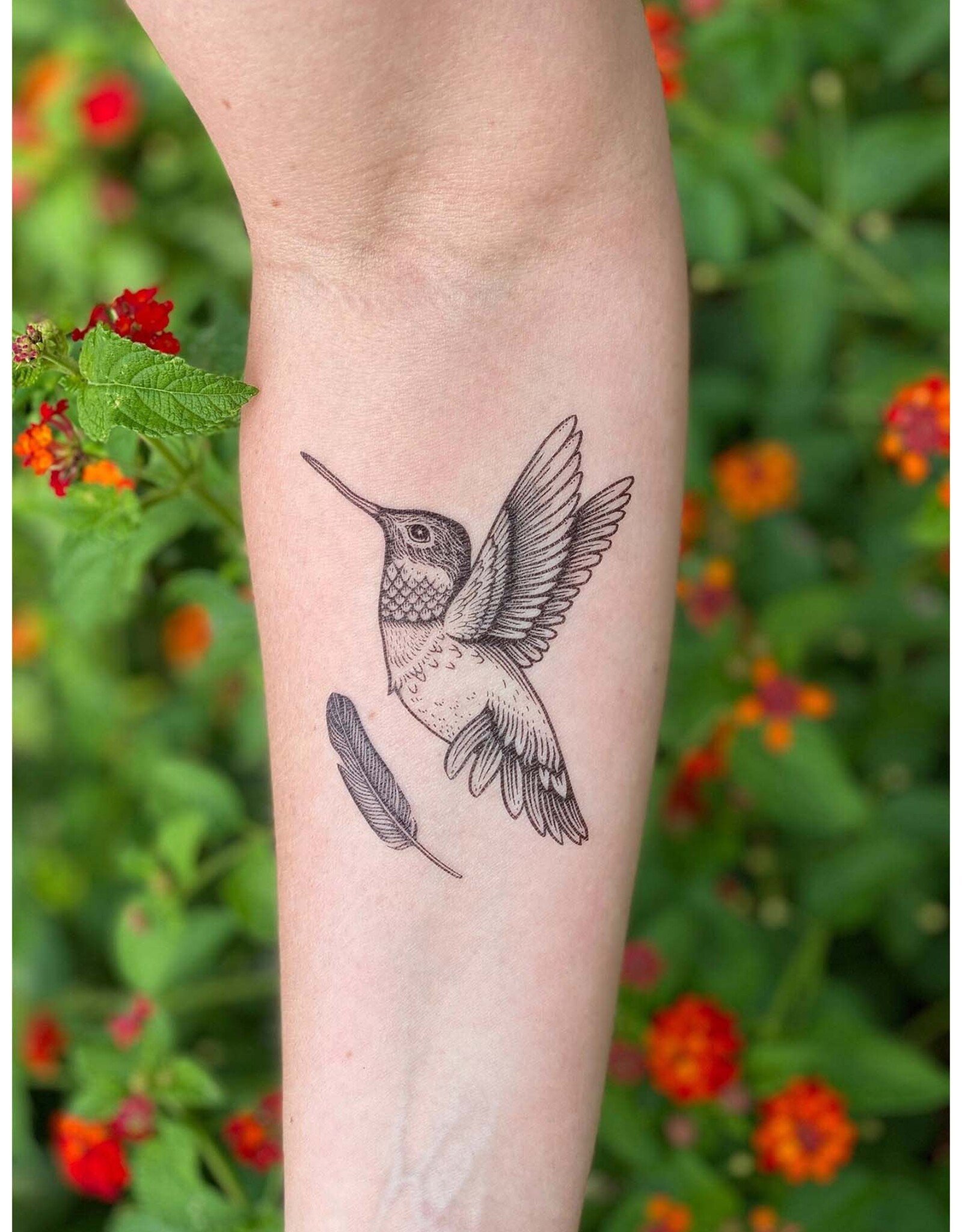 NatureTats Hummingbird Temporary Tattoo