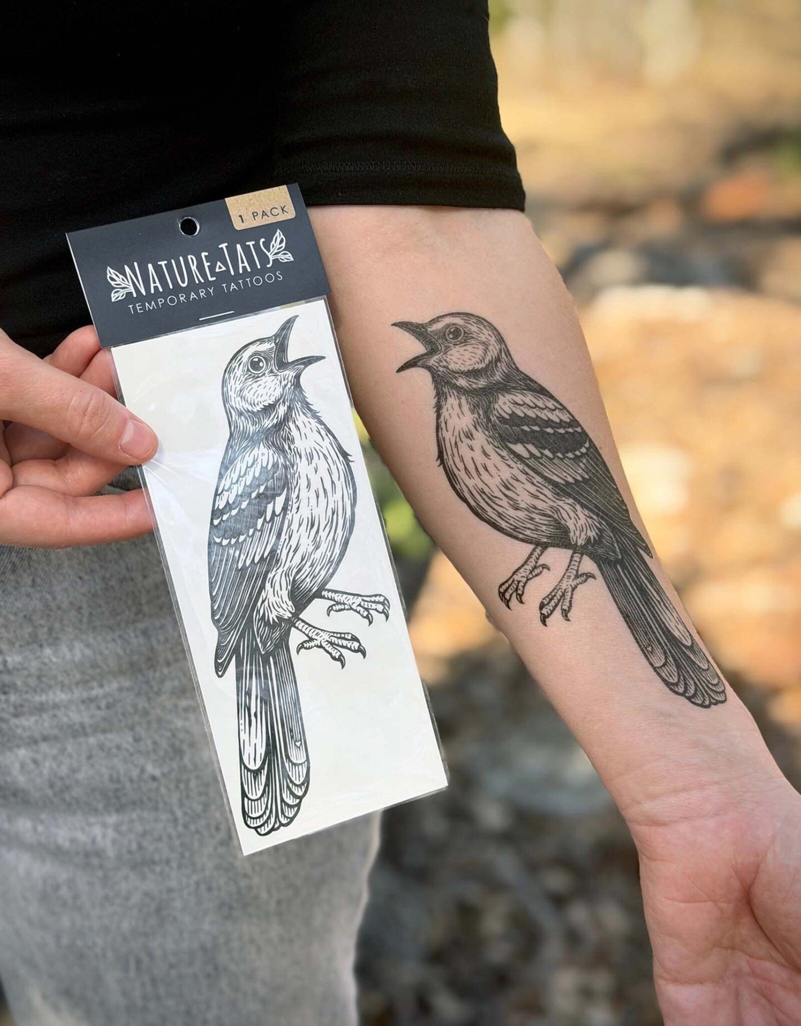 NatureTats Mockingbird Temporary Tattoo