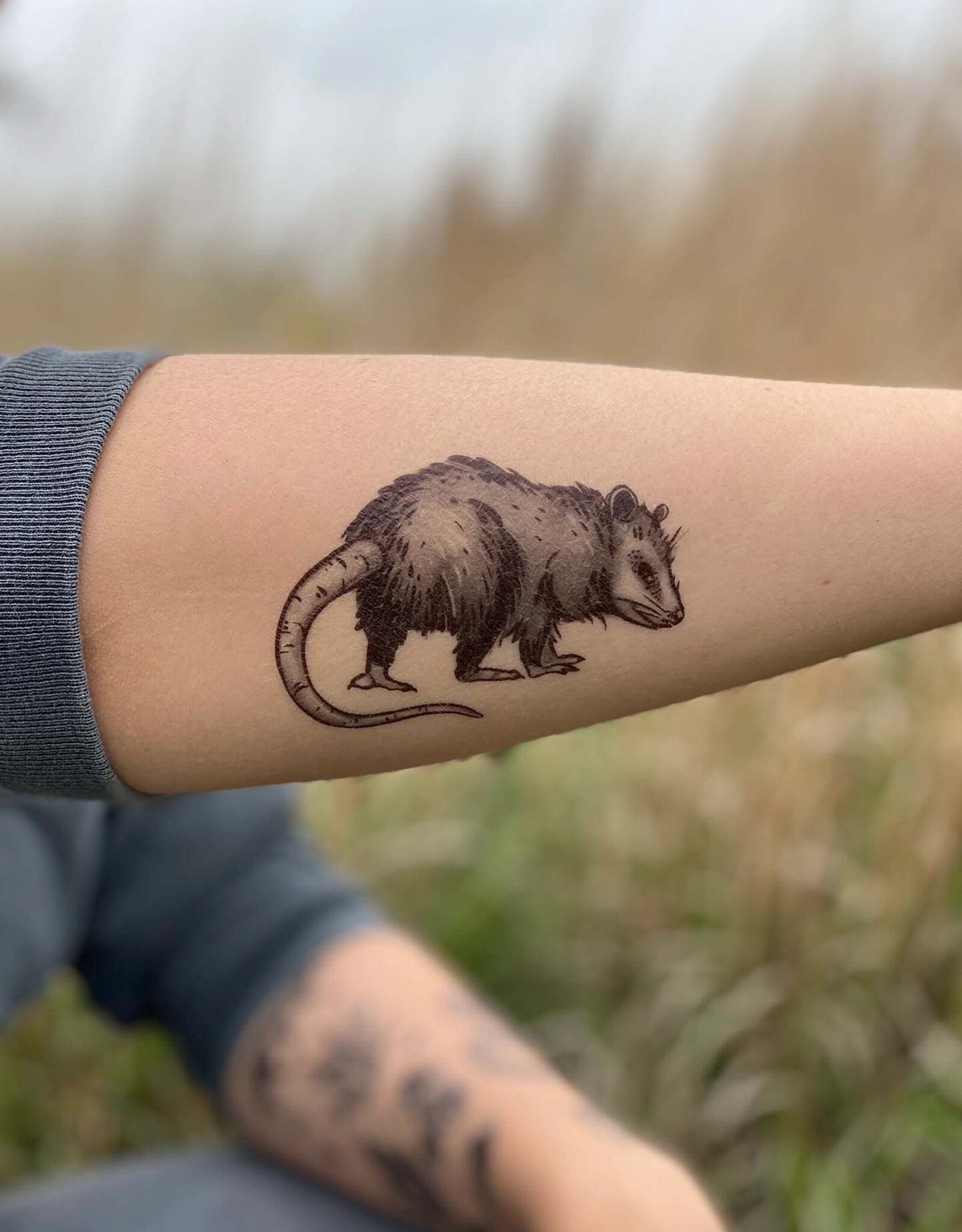 NatureTats Opossom Temporary Tattoo