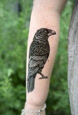 NatureTats Raven Temporary Tattoo