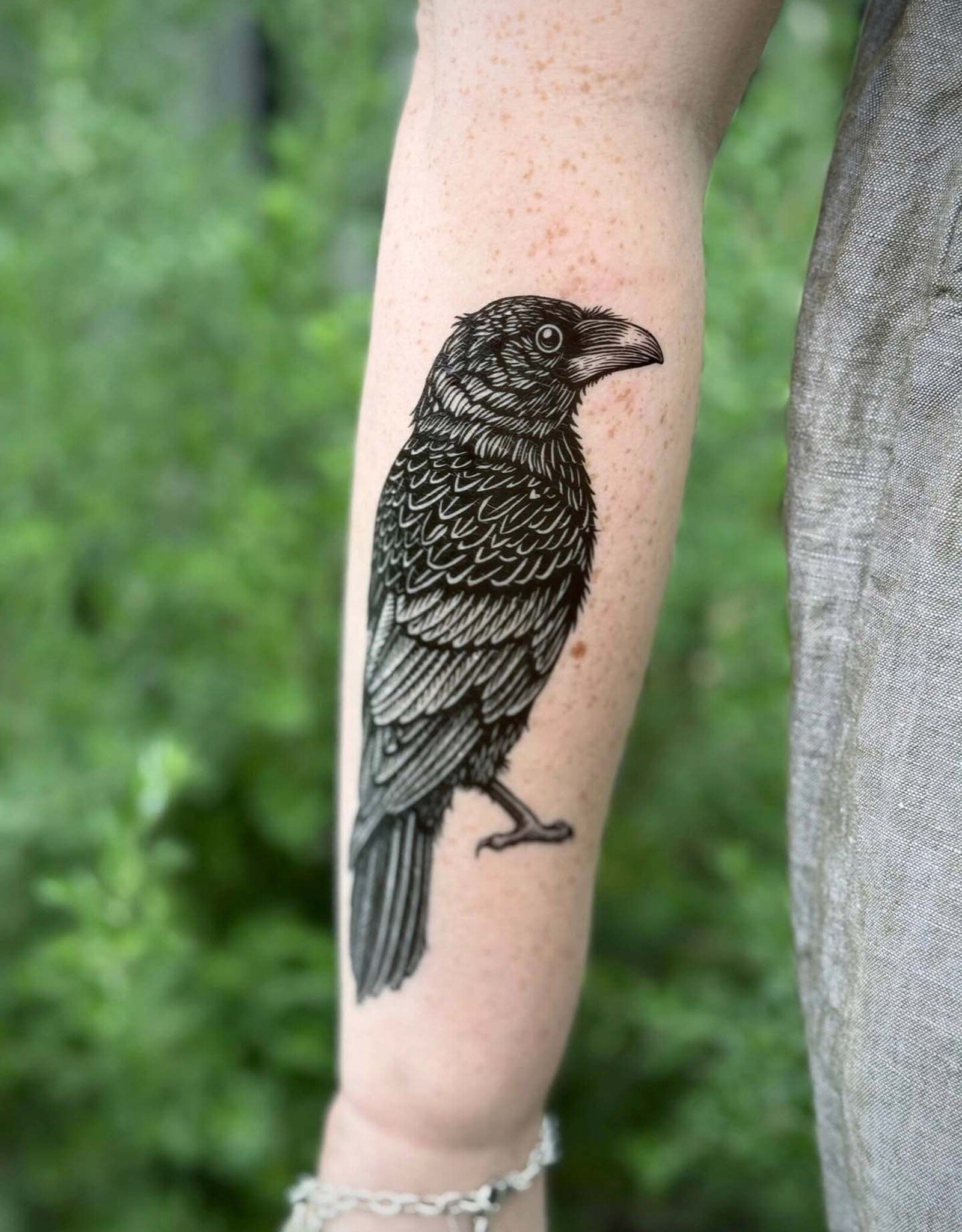 NatureTats Raven Temporary Tattoo