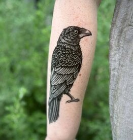 NatureTats Raven Temporary Tattoo