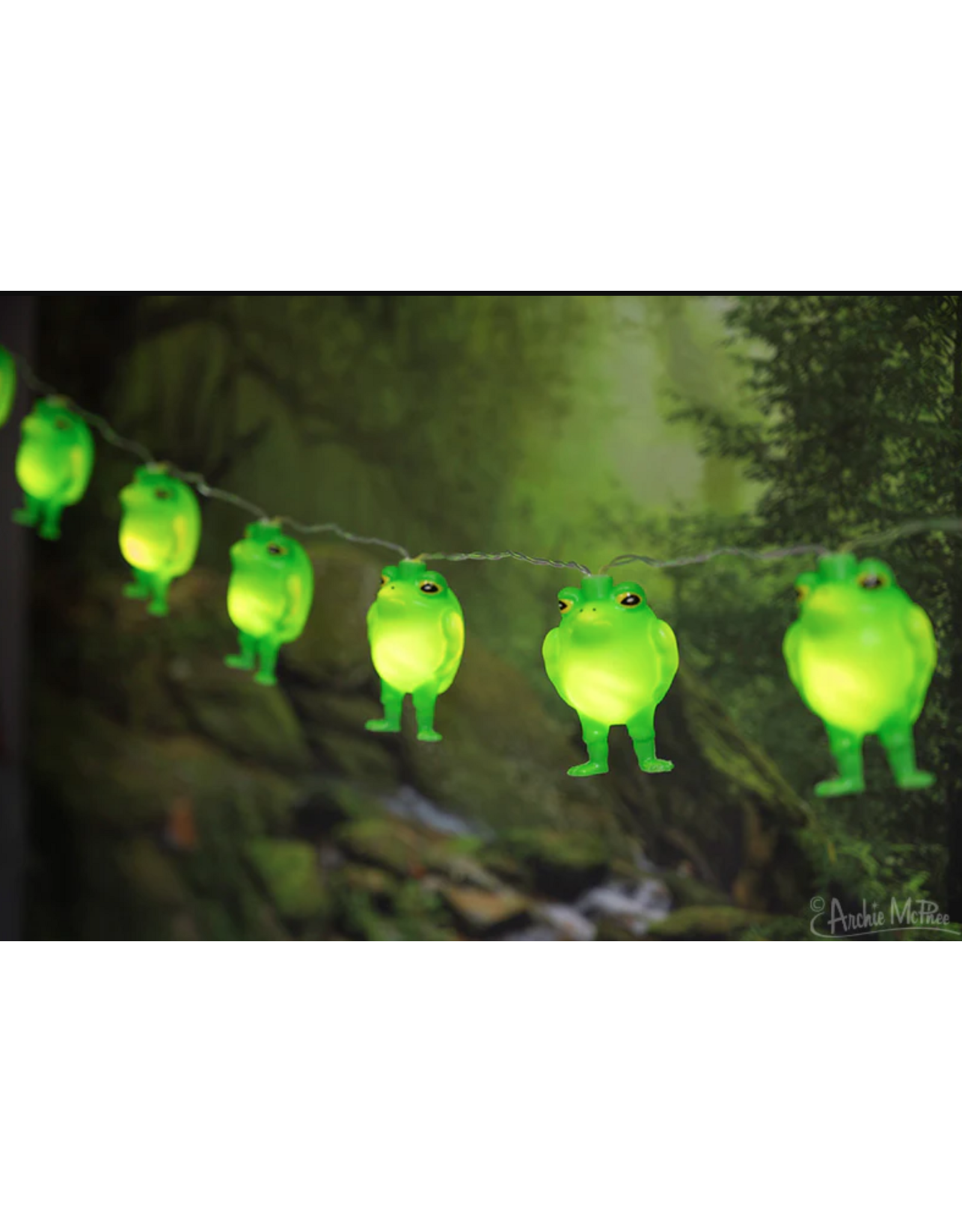 Frog String Lights