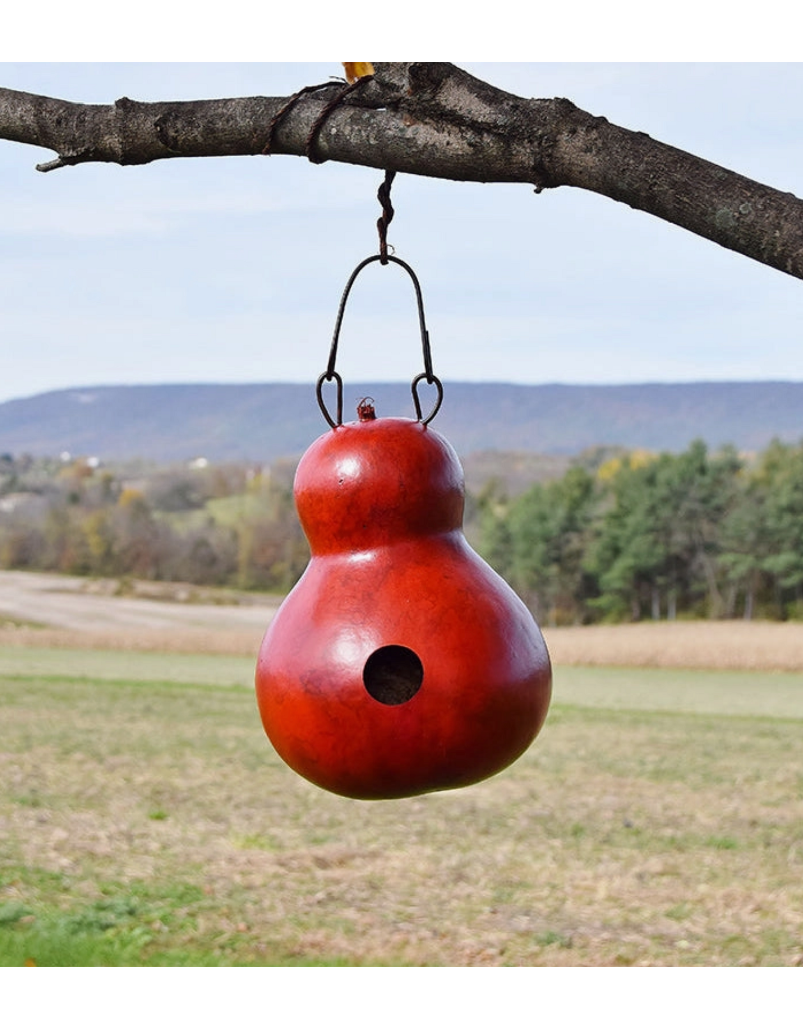 Meadowbrook Gourds Cabin Gourd Birdhouse