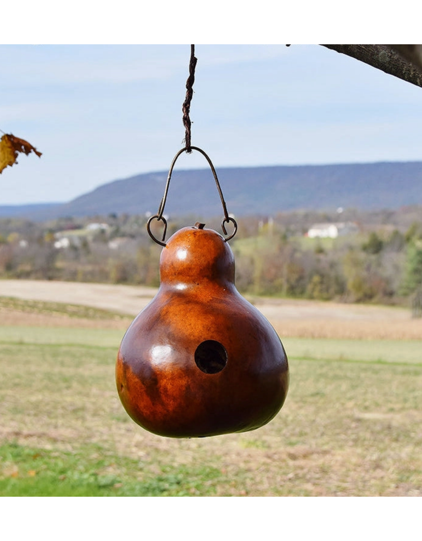 Meadowbrook Gourds Cabin Gourd Birdhouse