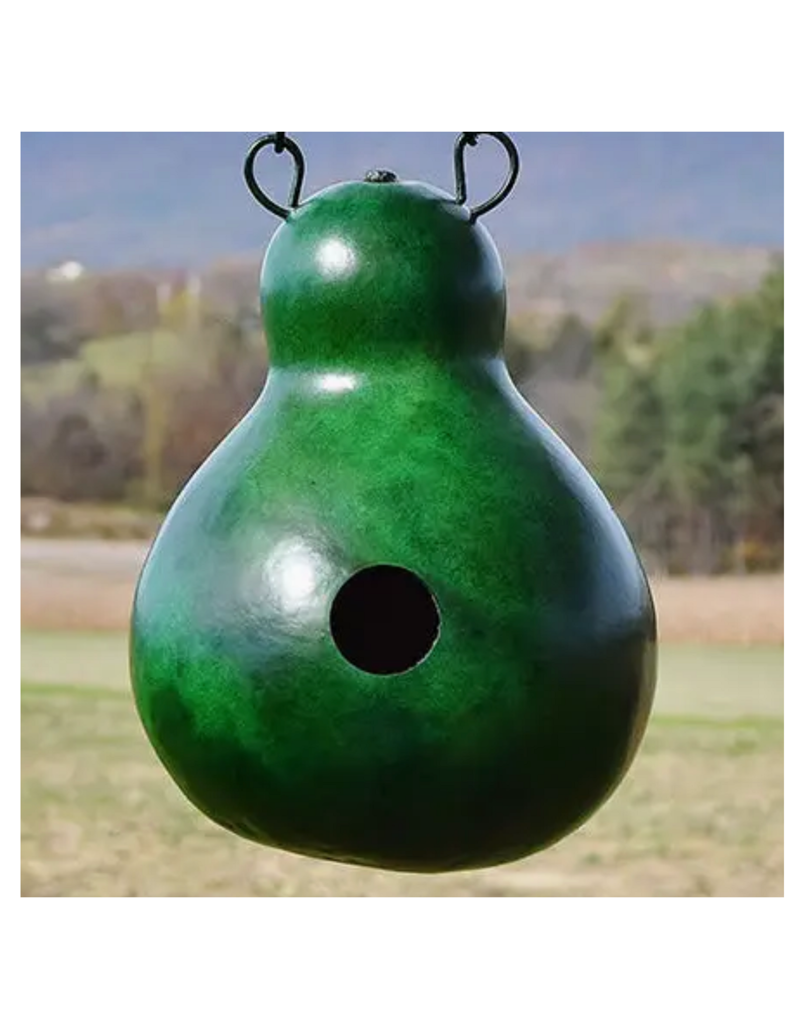 Meadowbrook Gourds Cabin Gourd Birdhouse