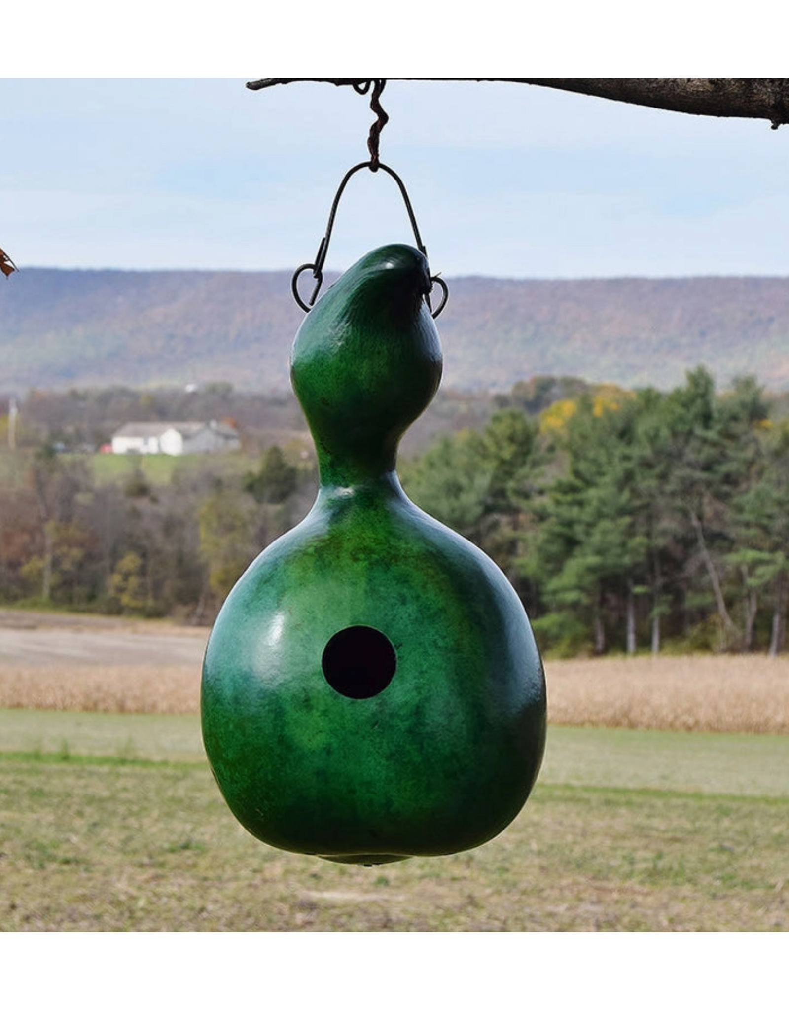 Meadowbrook Gourds Bungalo Gourd Birdhouse
