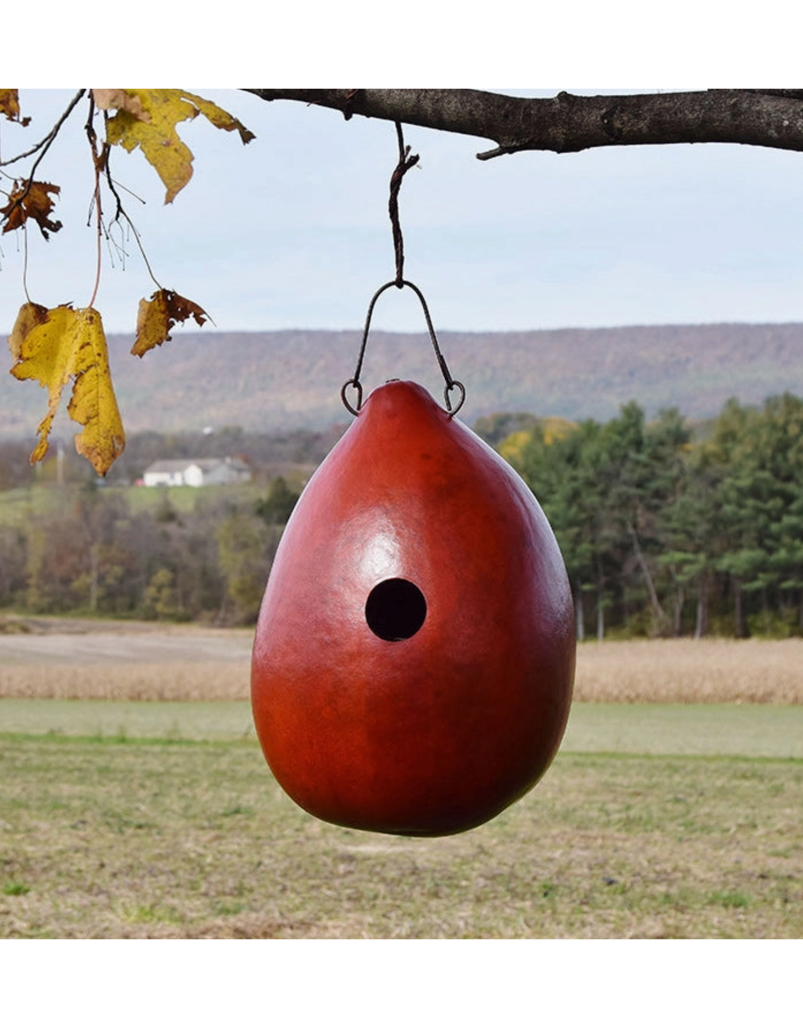 Meadowbrook Gourds Bungalo Gourd Birdhouse