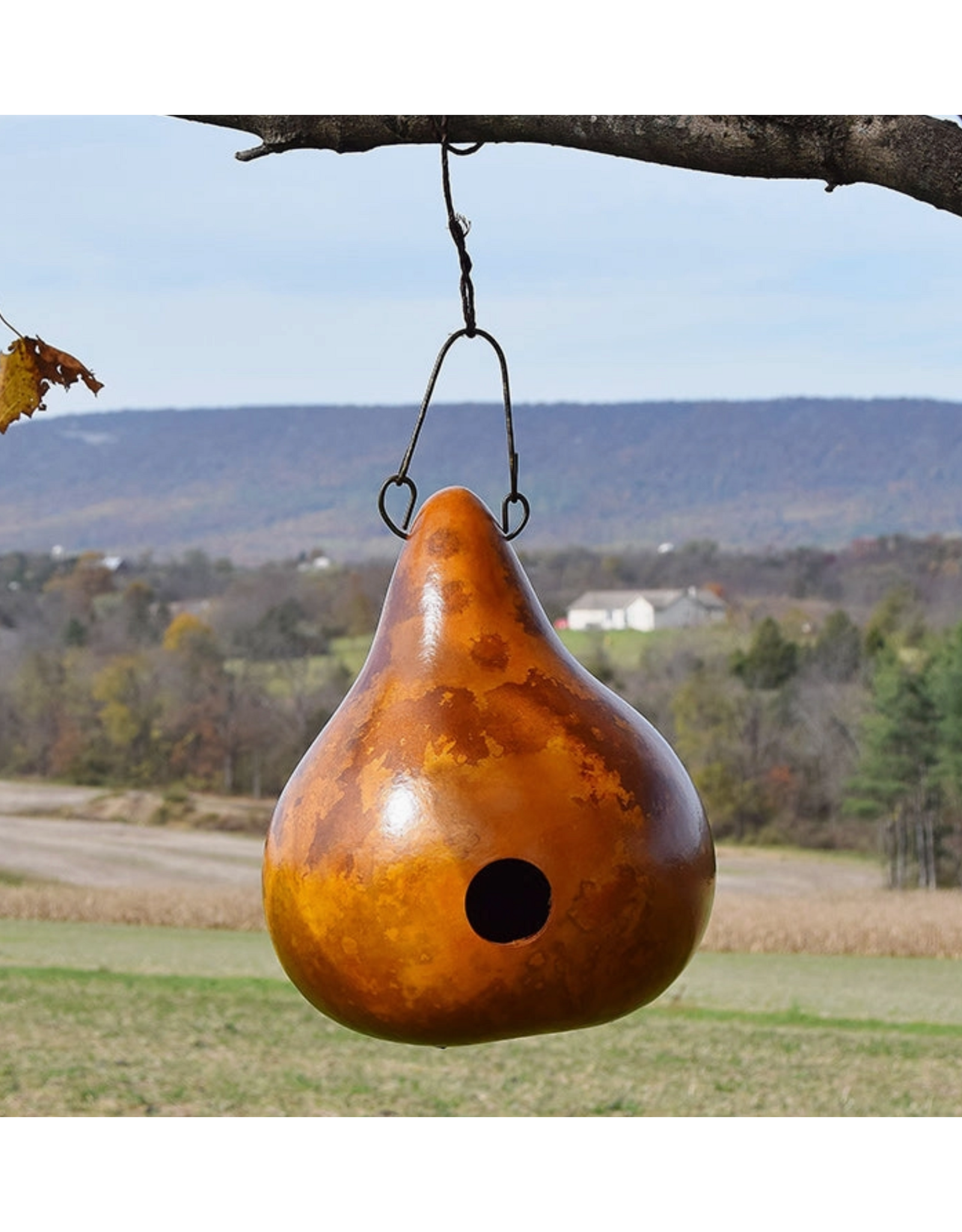 Meadowbrook Gourds Bungalo Gourd Birdhouse
