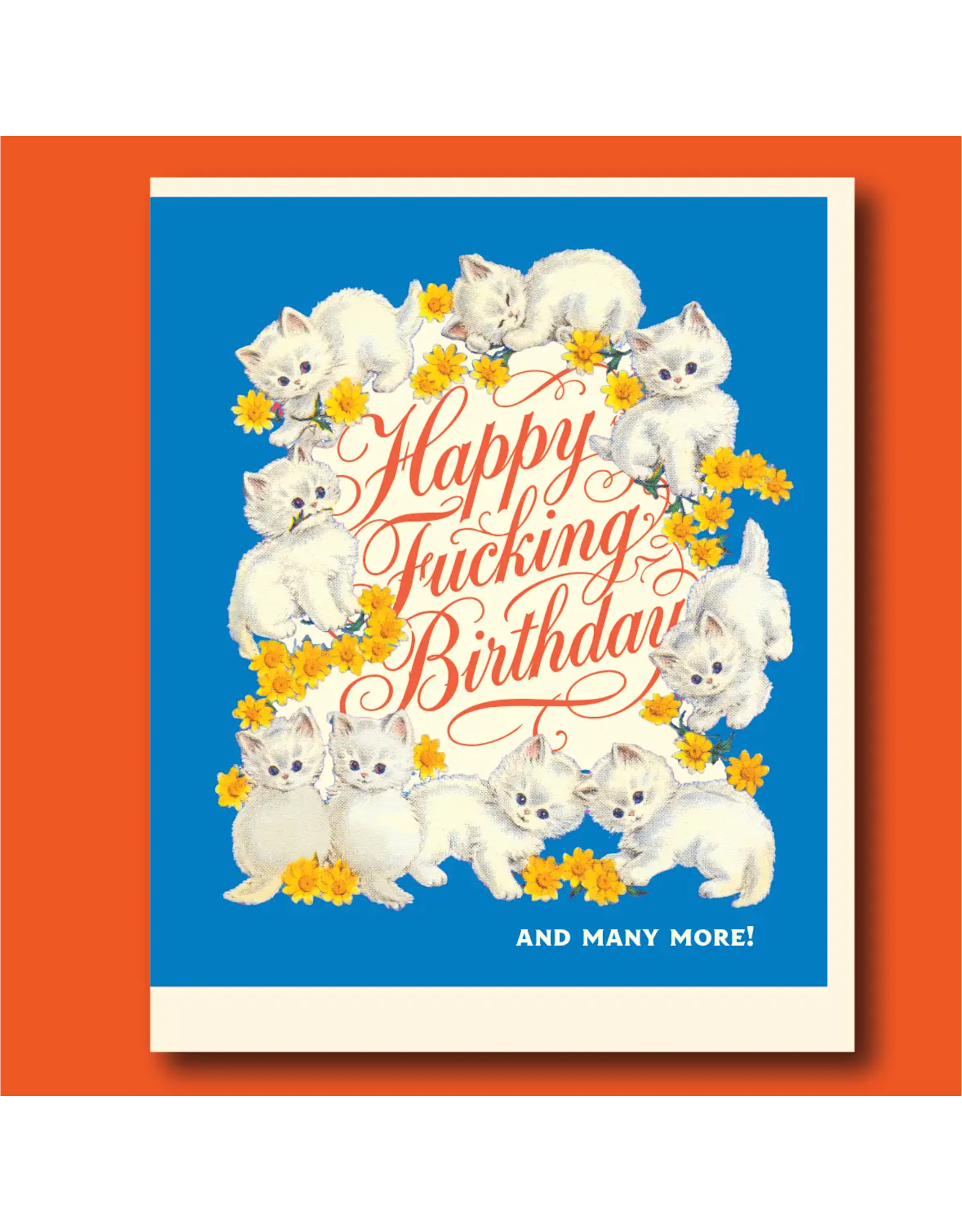 More Birthday Kittens Greeting Card