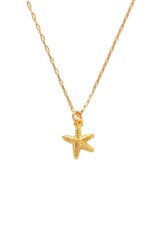 Tiny Starfish Necklace