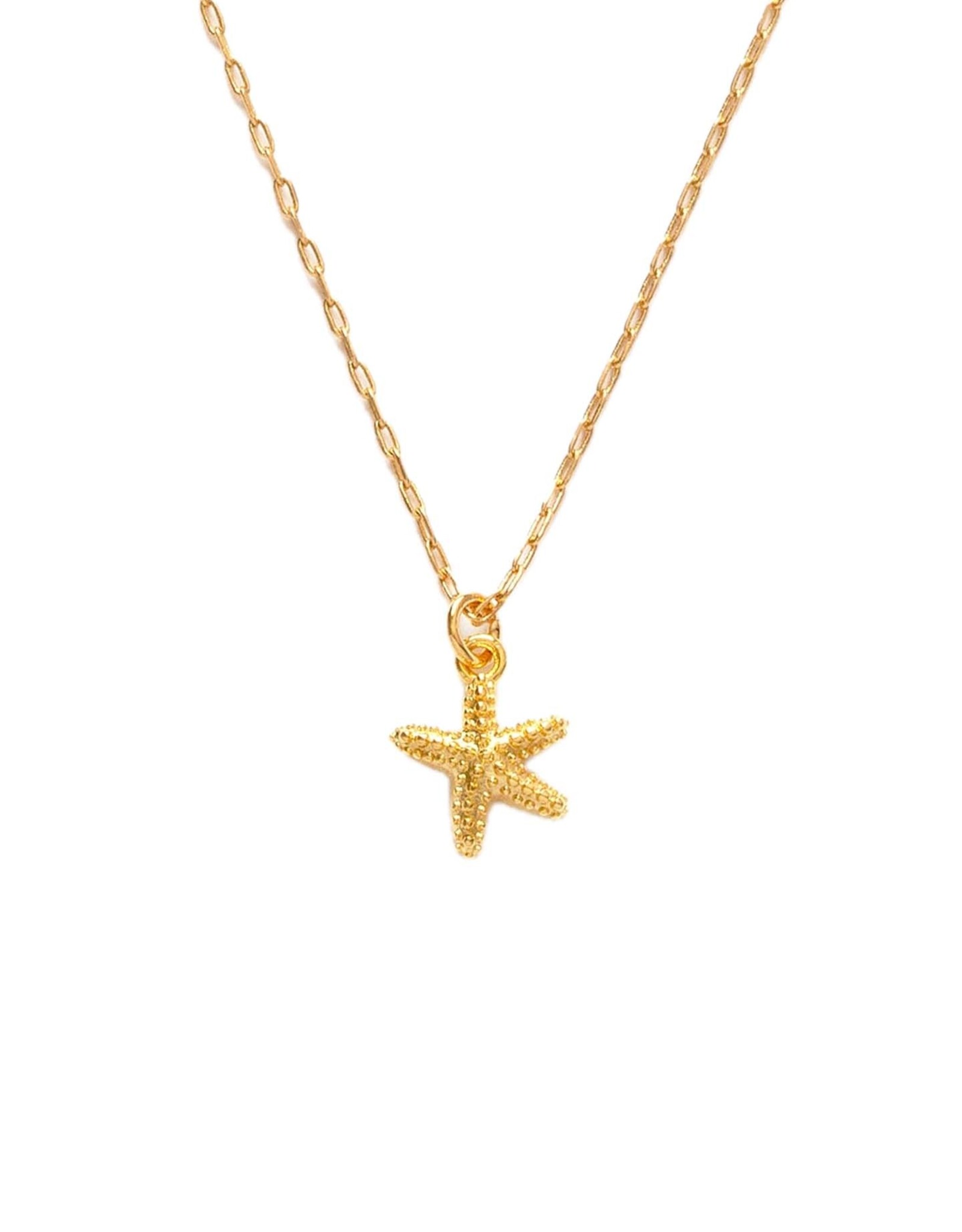 Tiny Starfish Necklace