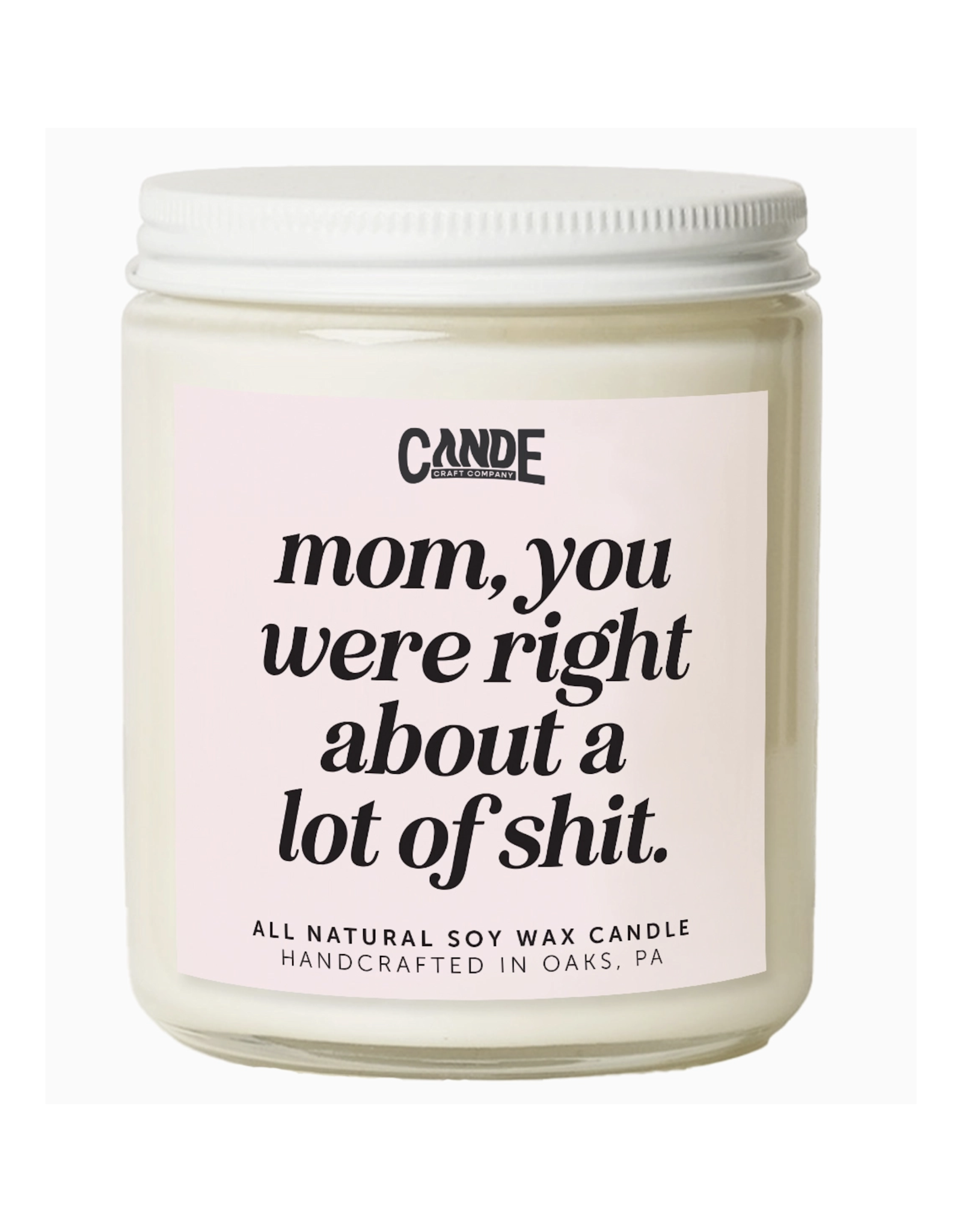 Mom, You Were Right About a Lot of Shit Candle