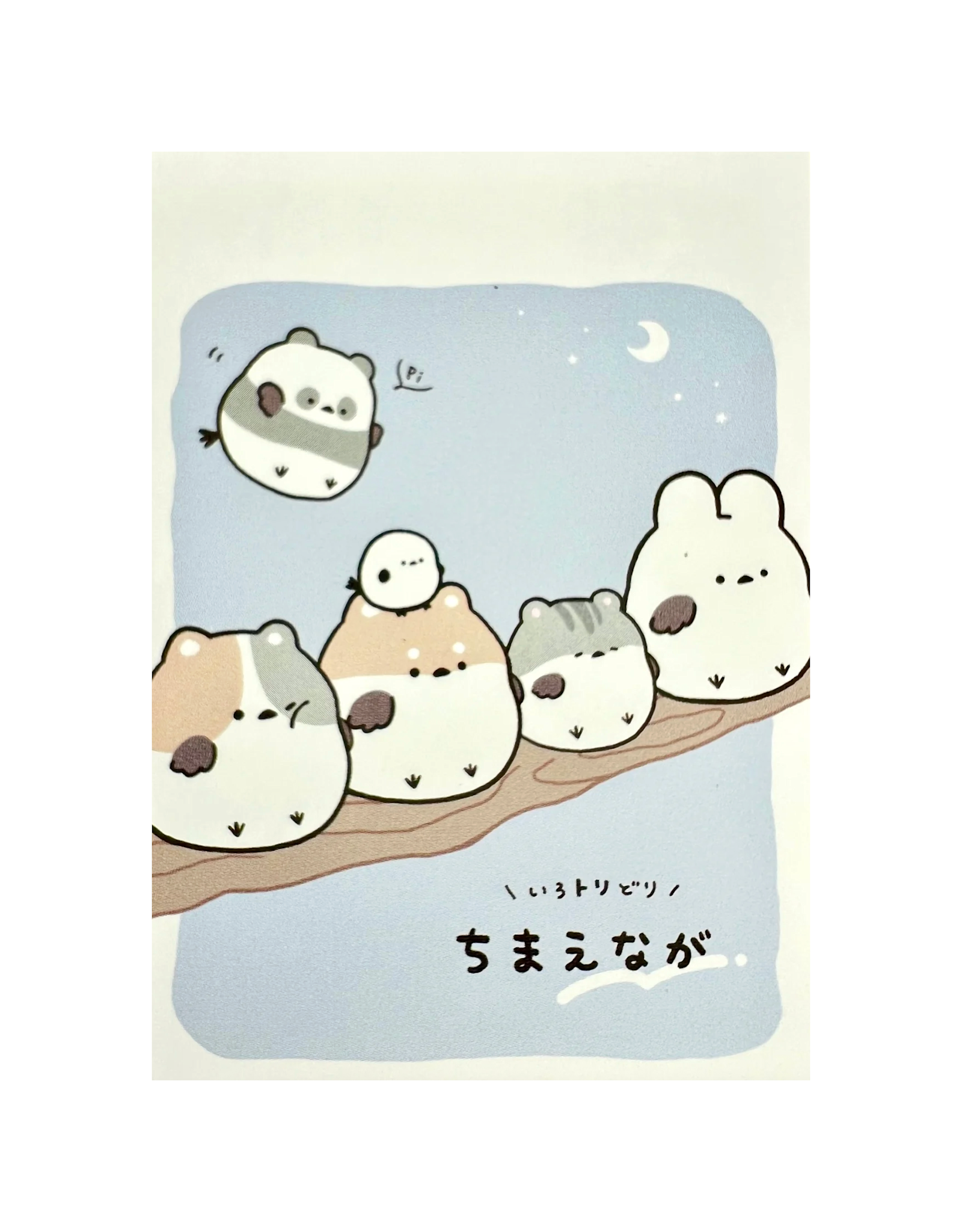 Round Animals Mini Notepad