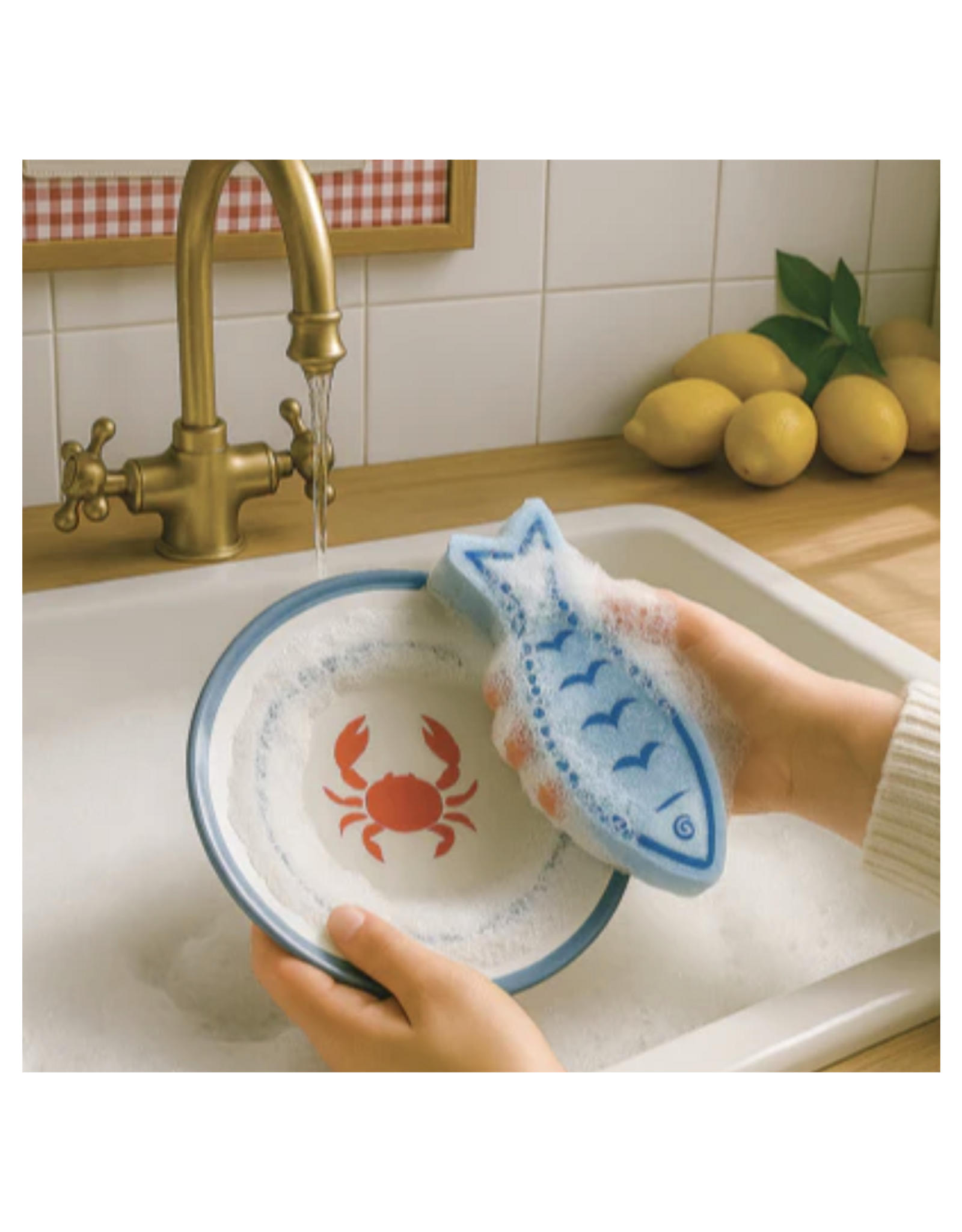 Sardine Sponges Set of 3