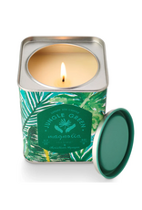 Jungle Green Magnolia Tin Candle