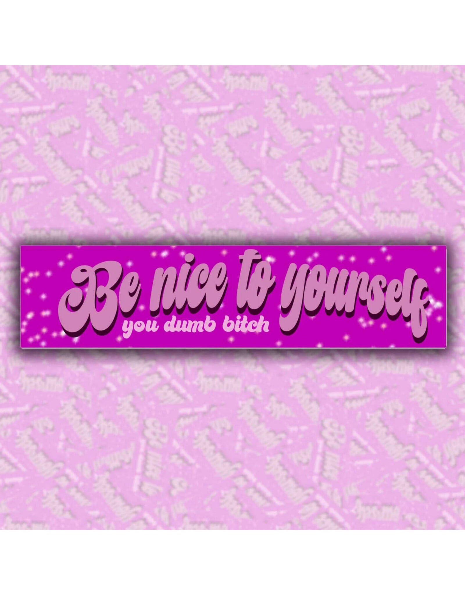 Be Nice to Yourself You Dumb Bitch Bumper Sticker