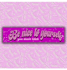 Be Nice to Yourself You Dumb Bitch Bumper Sticker