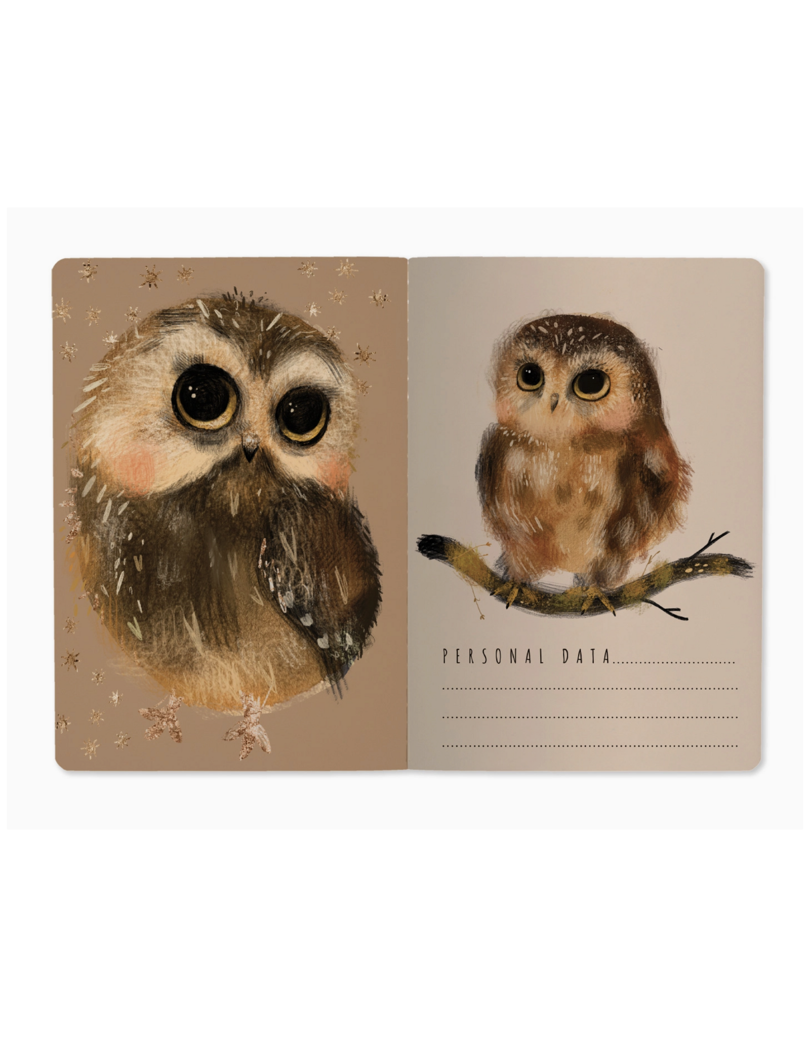 Owlets Notebook