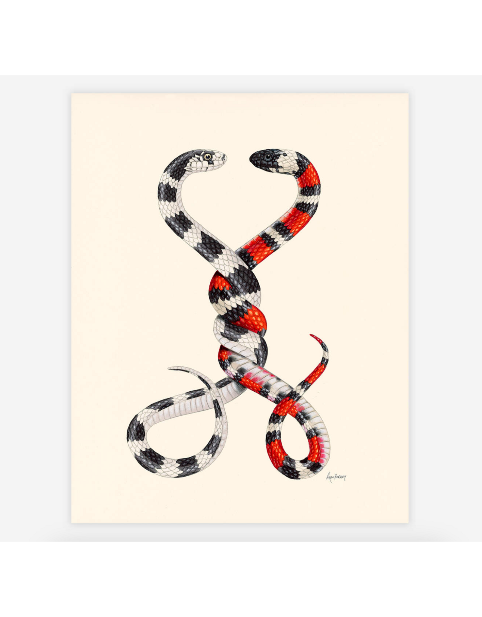 Always and Forever Snakes Print