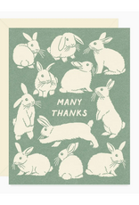 Many Thanks Bunny Greeting Card