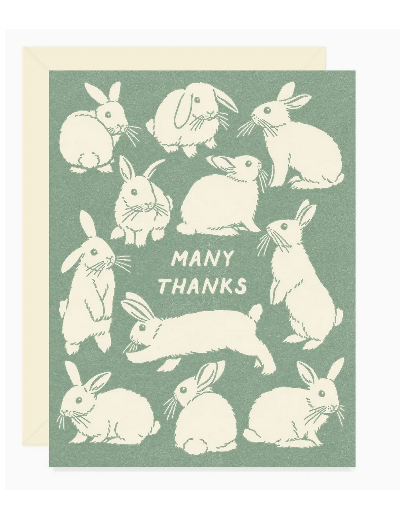Many Thanks Bunny Greeting Card