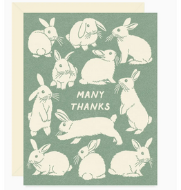 Many Thanks Bunny Greeting Card
