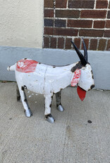 Goat - Medium - CURBSIDE PICK UP ONLY
