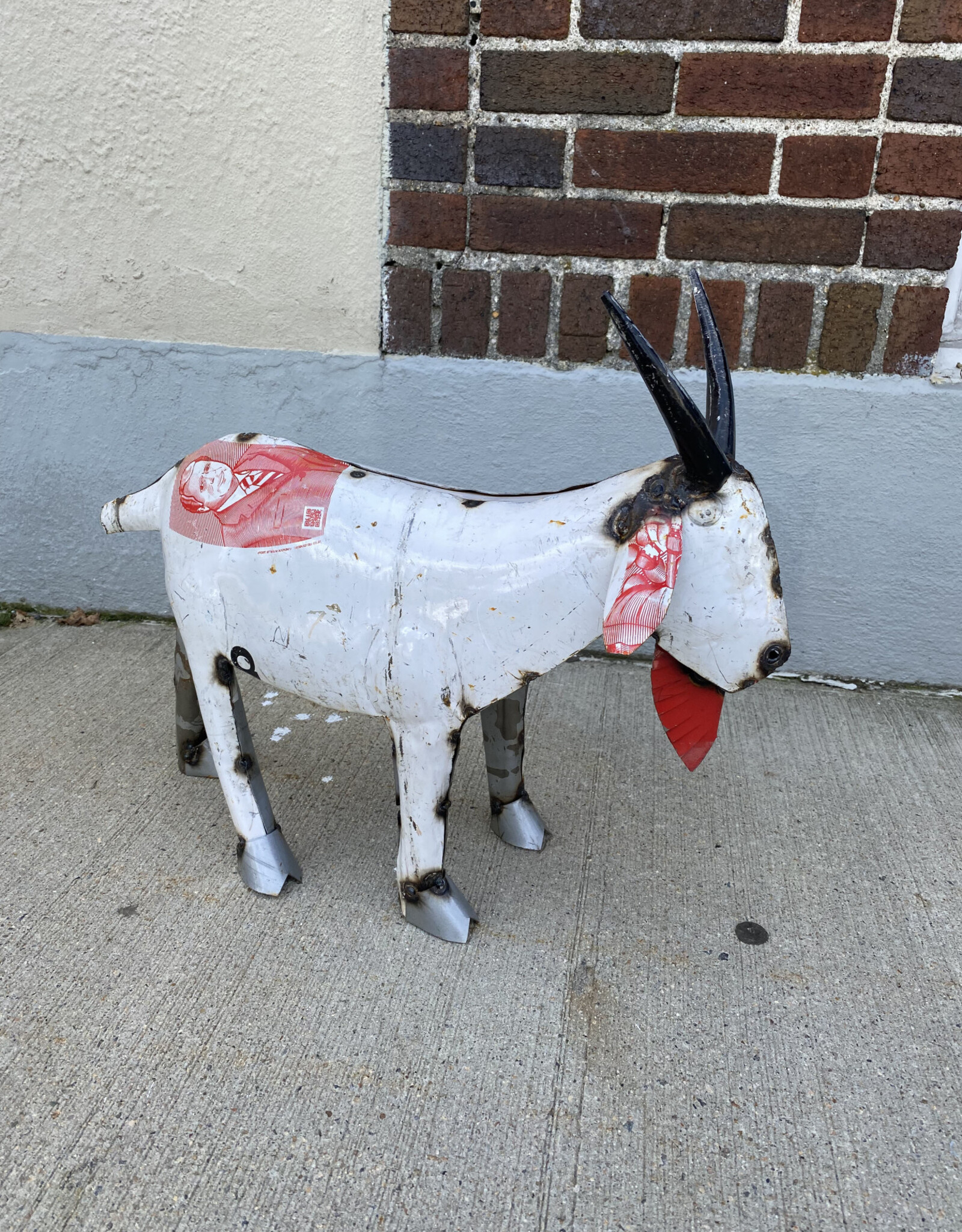 Goat - Medium - CURBSIDE PICK UP ONLY